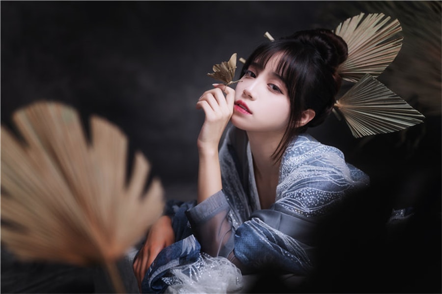 梦幻精灵贰加六,一位创意无限的动漫博主!