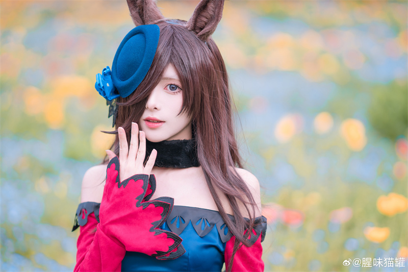 绝美Coser腥味猫罐图集鉴赏