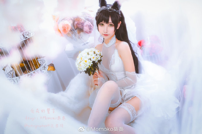 Momoko葵葵cos《碧蓝航线》的爱宕，白花舞动的迷恋