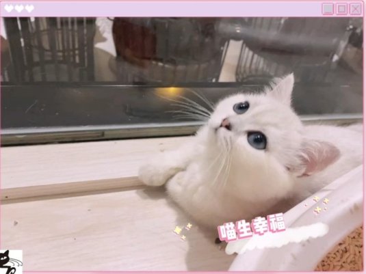 棉花糖都没你甜~